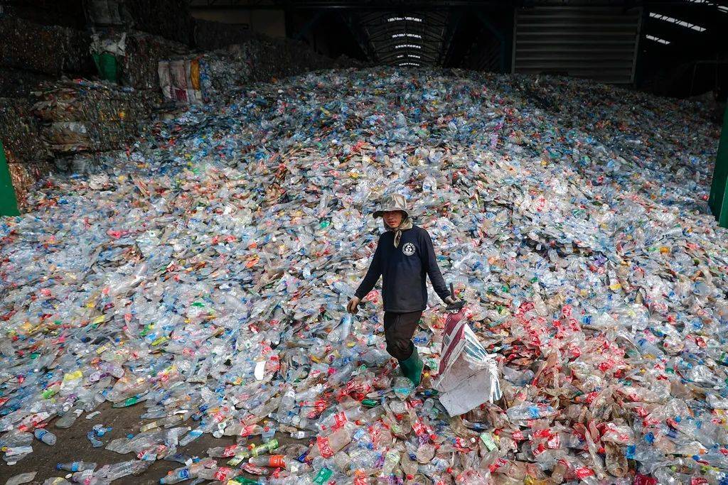 Do Biodegradable Plastics Have a Future?